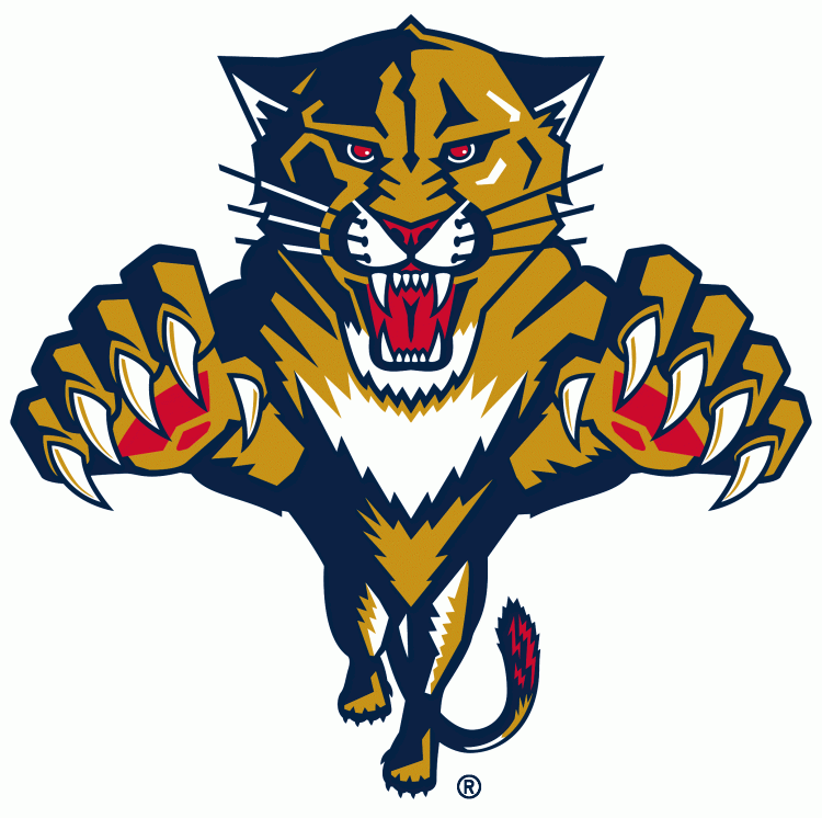 Florida Panthers1999-2016 Primary Logo t shirts DIY iron ons